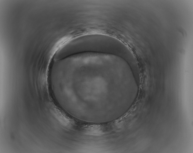 X0000112470104200908171207