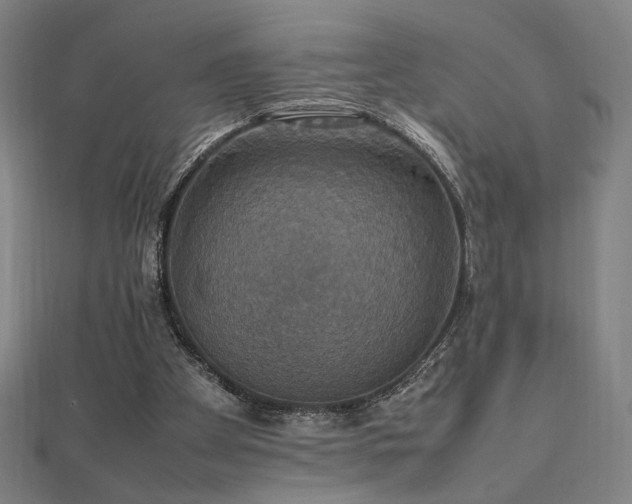 X0000112470105200908171207