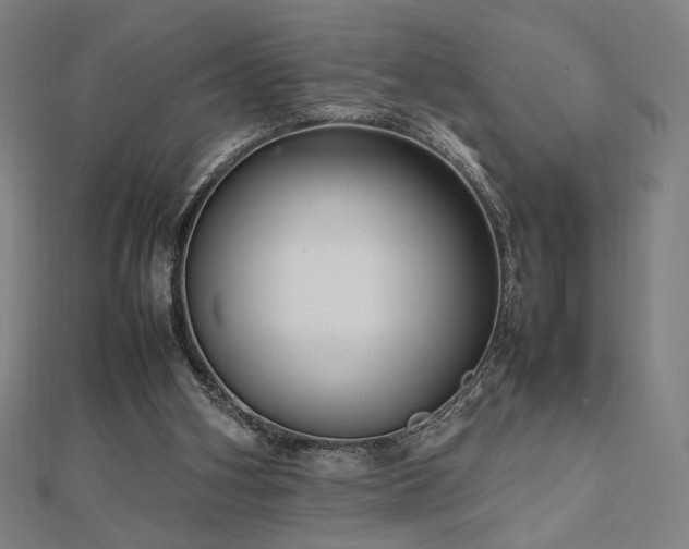 X0000112470106200908171207