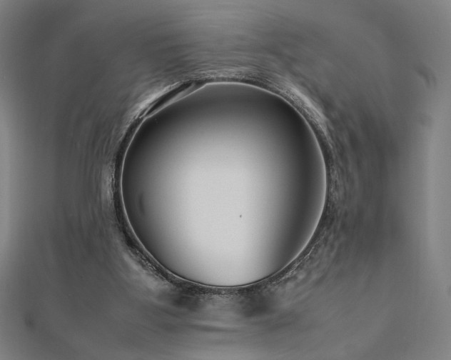 X0000112470107200908171207