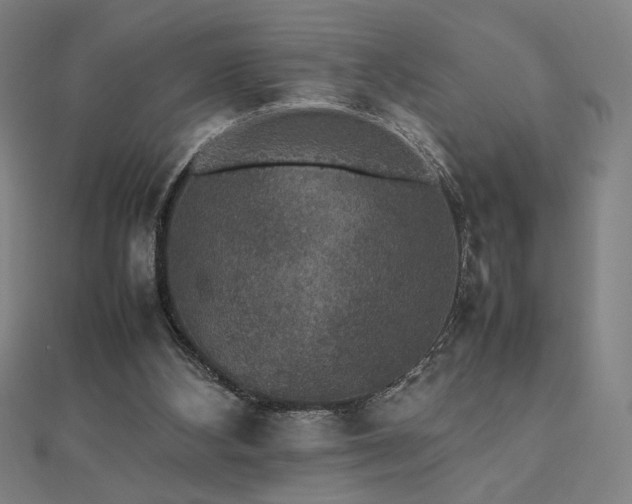 X0000112470108200908171207