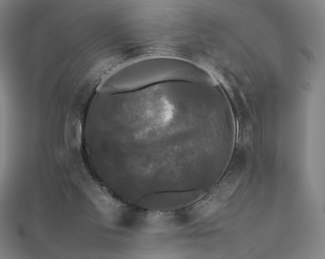 X0000112470109200908171207