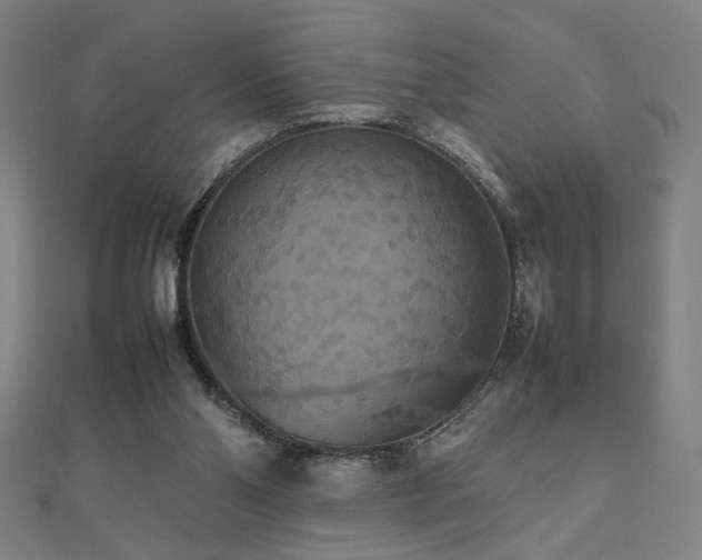 X0000112470110200908171207