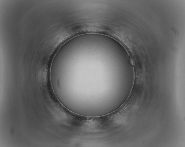 X0000112470111200908171207