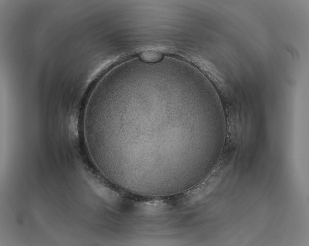 X0000112470112200908171207