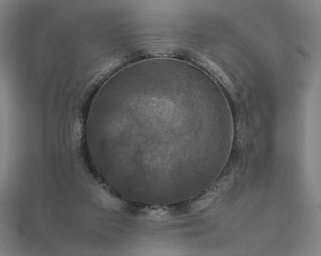 X0000112470113200908171207