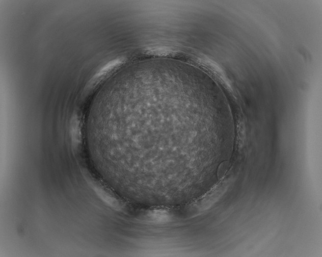 X0000112470114200908171207