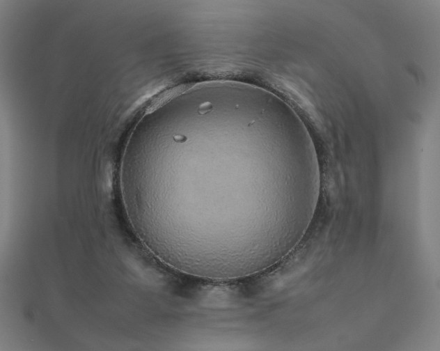 X0000112470115200908171207