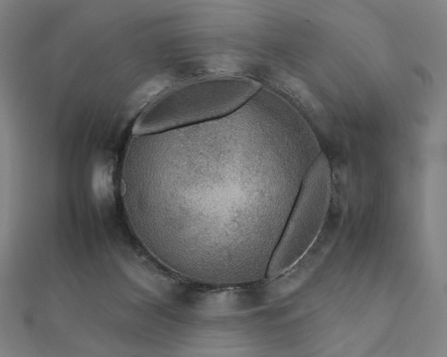 X0000112470116200908171207