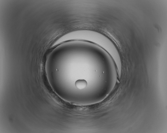 X0000112470117200908171207