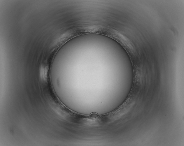 X0000112470118200908171207