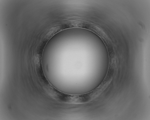 X0000112470121200908171207