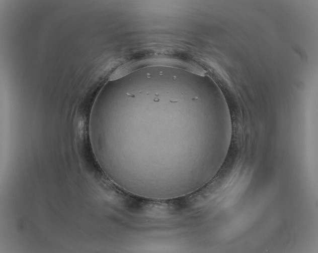 X0000112470123200908171207