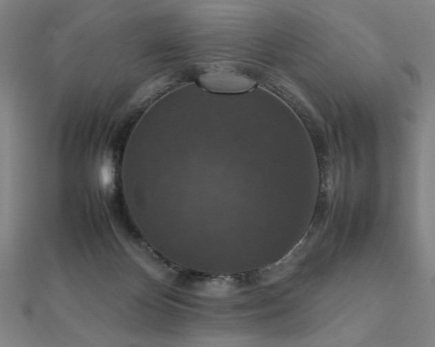 X0000112470124200908171207