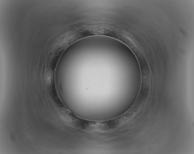 X0000112470125200908171207