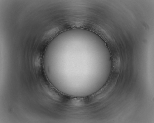 X0000112470126200908171207