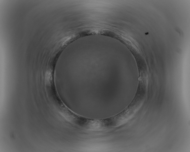 X0000112470127200908171207