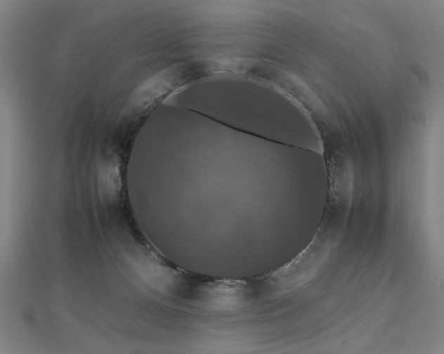 X0000112470128200908171207