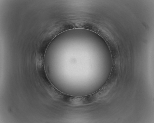 X0000112470129200908171207