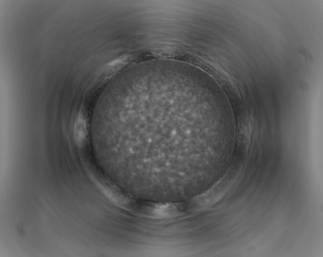 X0000112470130200908171207