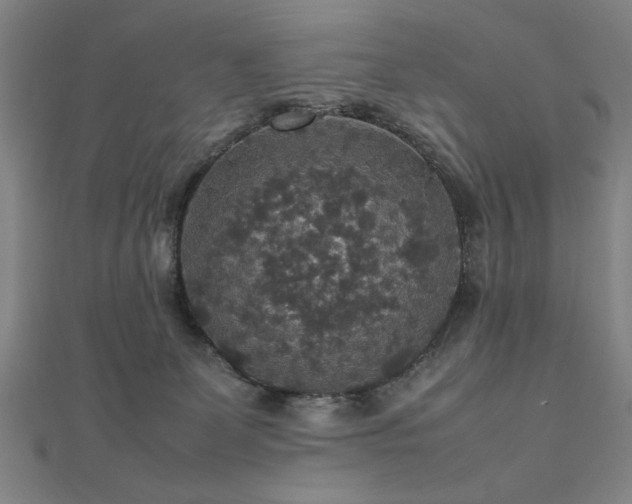 X0000112470131200908171207