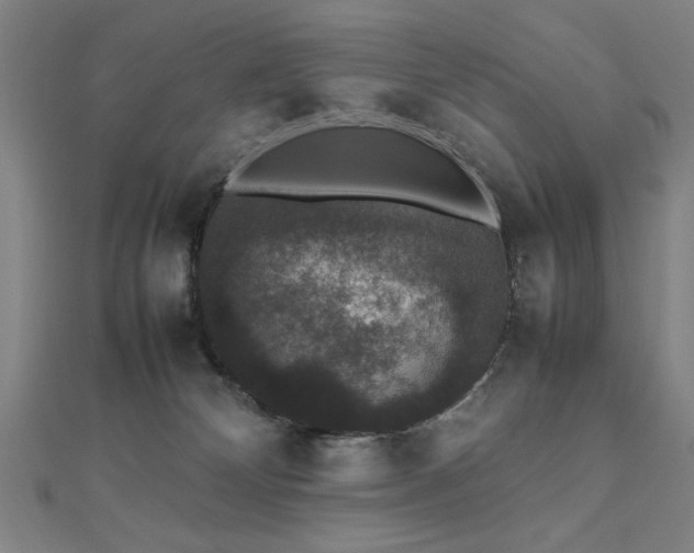 X0000112470132200908171206