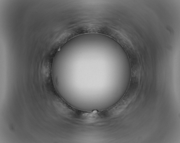 X0000112470133200908171206