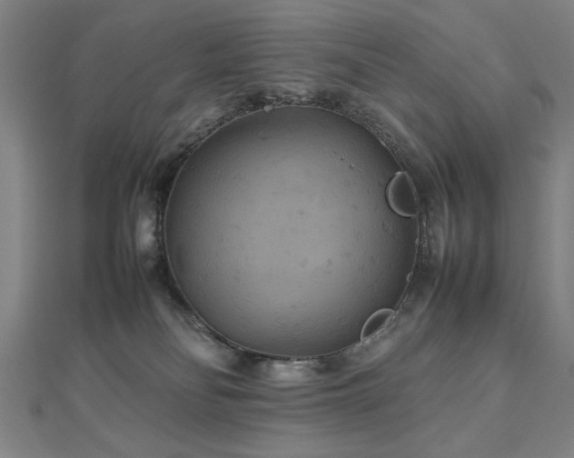 X0000112470134200908171206