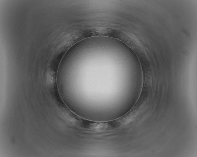 X0000112470135200908171206