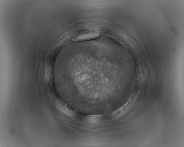 X0000112470136200908171206