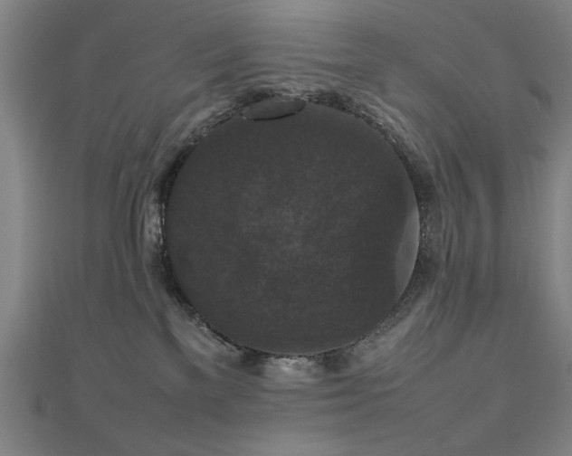 X0000112470137200908171206