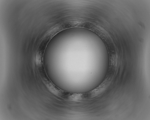 X0000112470138200908171206