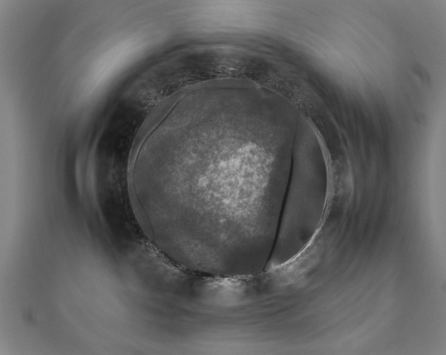 X0000112470140200908171206