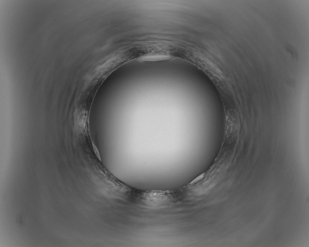 X0000112470141200908171206