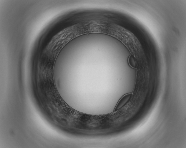 X0000112470142200908171206