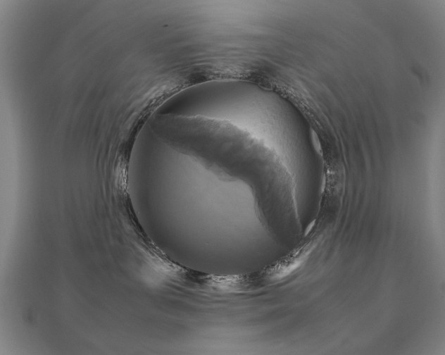 X0000112470143200908171206