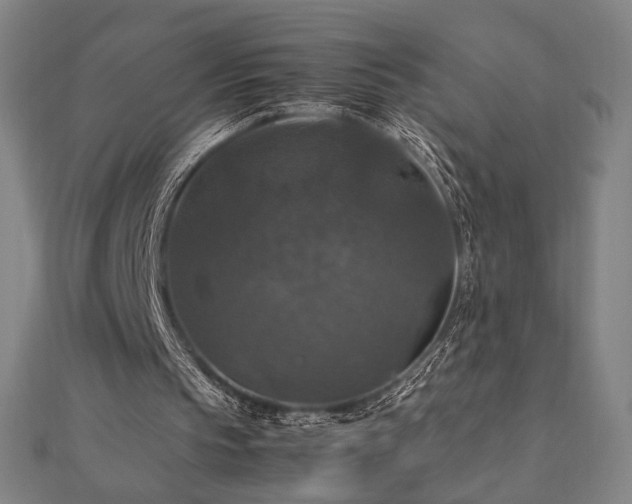 X0000112470145200908171206