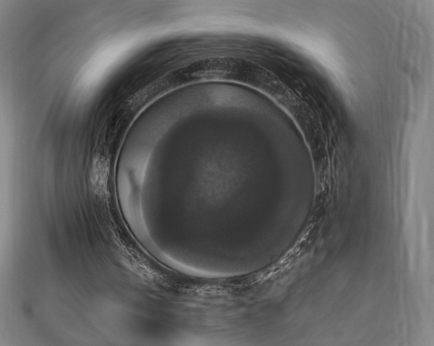 X0000112470146200908171206