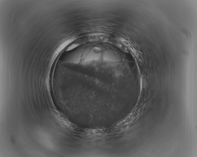 X0000112470147200908171206