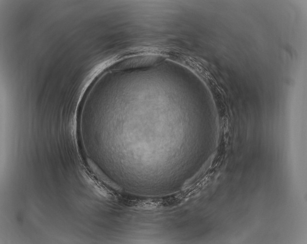 X0000112470148200908171206