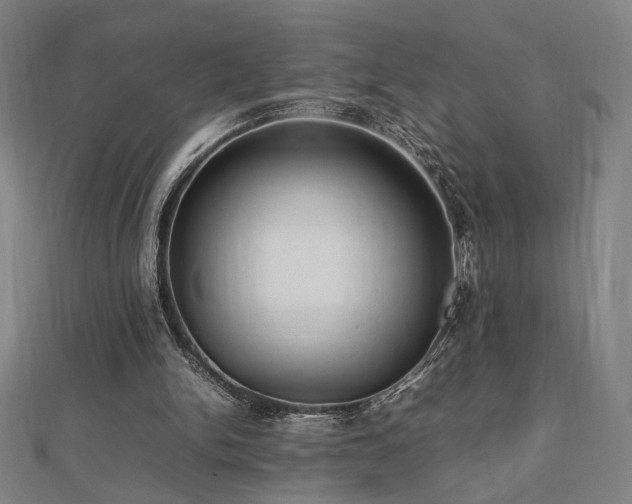 X0000112470150200908171206