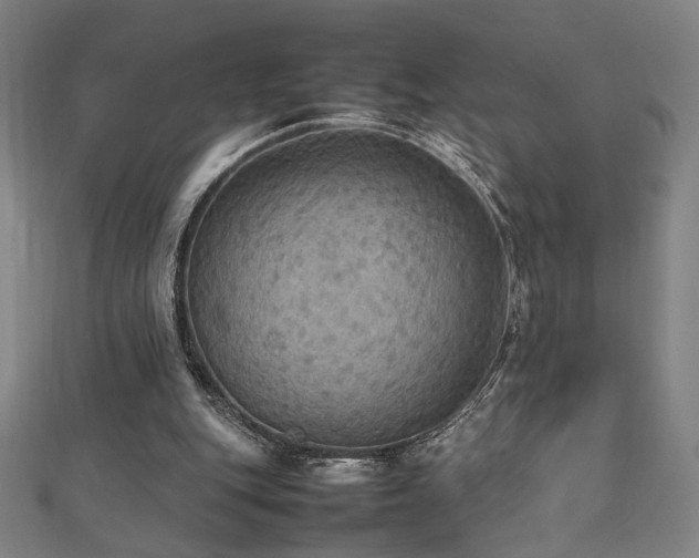 X0000112470151200908171206