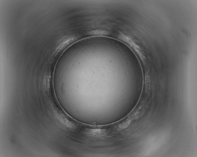 X0000112470153200908171206