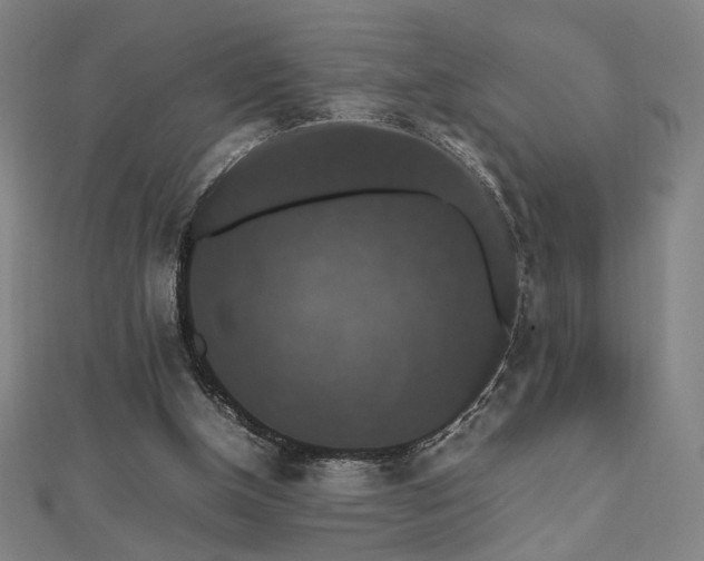 X0000112470154200908171206