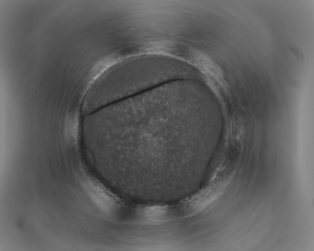 X0000112470156200908171206