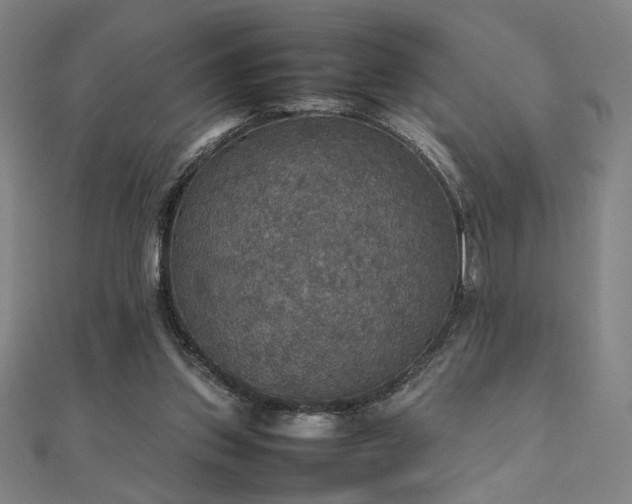 X0000112470157200908171206