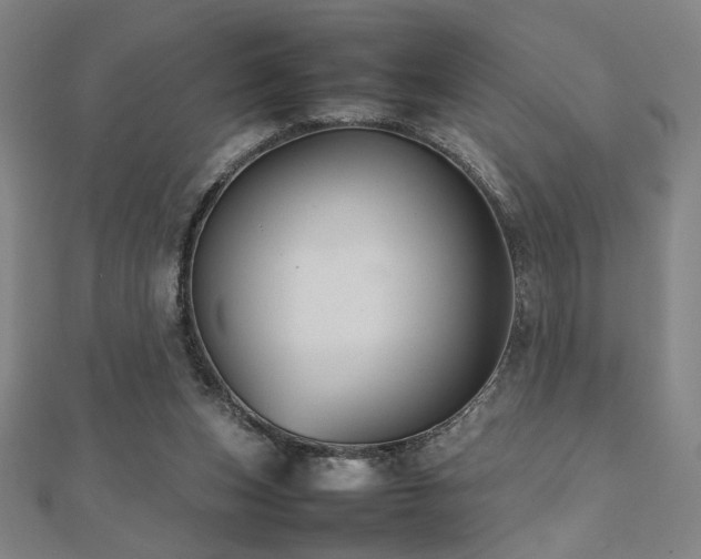 X0000112470159200908171206