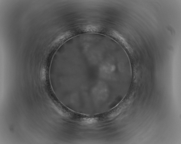 X0000112470161200908171206