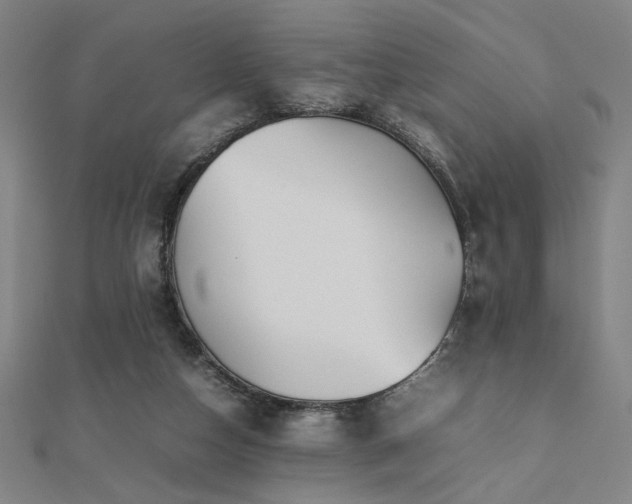 X0000112470162200908171206