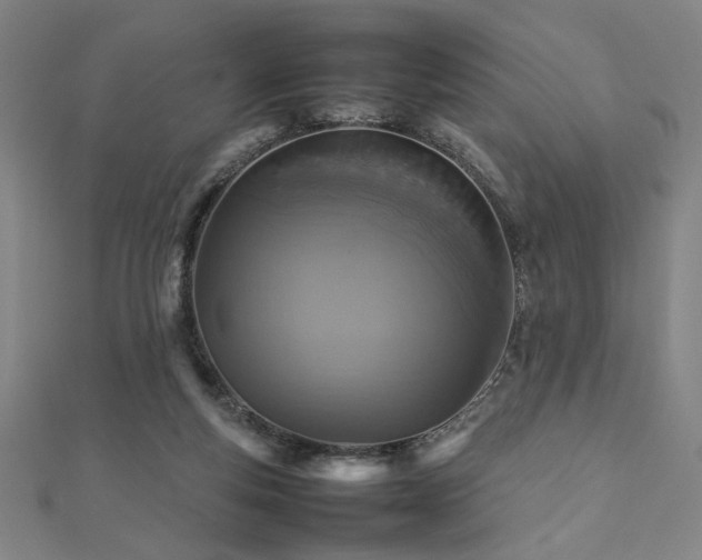 X0000112470163200908171206